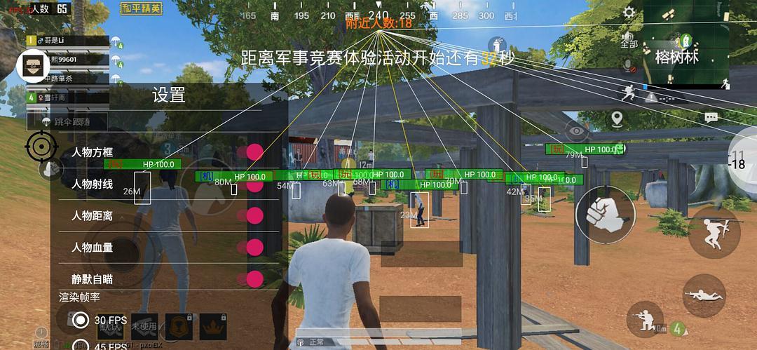 和平精英辅助得类型分为那些
